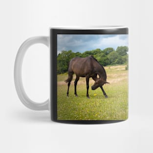 Pasture Mug